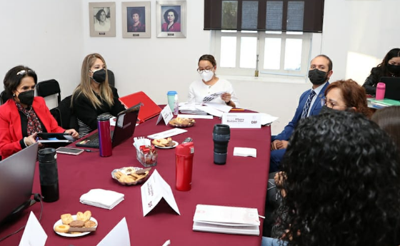 Realiza DIF, Segunda Sesión del Consejo Técnico de Adopción