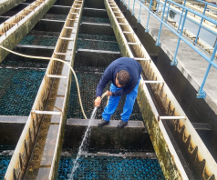 El Servicio de Agua se Encuentra Normalizado en las 115 Colonias