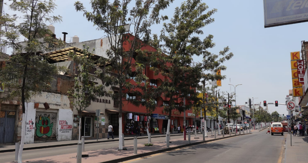 Podan Arboles de Revolución Para Evitar Riesgos en Ciclistas y Transeúntes