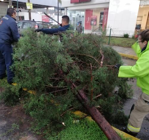 Atiende Ayuntamiento Contingencias por Lluvias