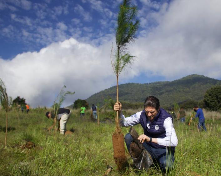 Alfonso Martínez, Comprometido con el Medio Ambiente