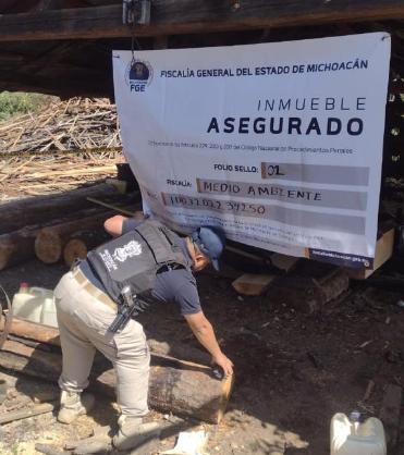 Asegura Fiscalía General un Aserradero Relacionado en Delitos Contra el Ambiente