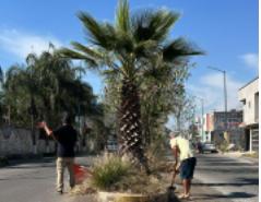 Gobierno de Municipal Realiza Jornada de Limpieza en el Fraccionamiento La Aldea