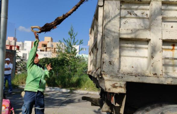 Gobierno Municipal y Ciudadanos, Unidos en Jornada de Limpieza en Col. Los Vergeles