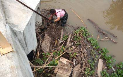 Gobierno Municipal Implementa Jornada de Limpieza Preventiva en Ríos y Drenes